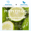 Herbal Energy Nasal Inhaler Stick — 4 Pack